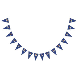 Biden Harris Party  Bunting