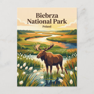 Biebrza National Park Poland Postcard