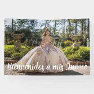 Bienvenidos A Mis Quince Quinceañera Photo Banner