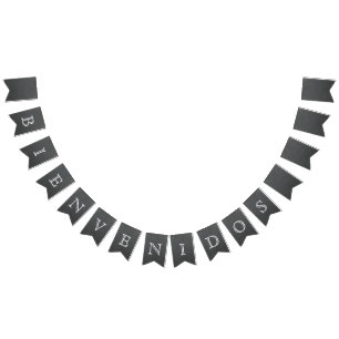 Bienvenidos - chalkboard design banner