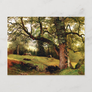 Bierstadt - A Trail through the Trees Postcard