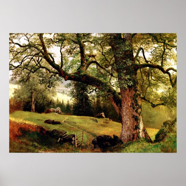 Bierstadt - A Trail through the Trees Poster (Front)