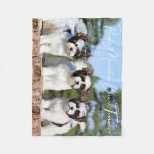 Biewer Terrier Blanket