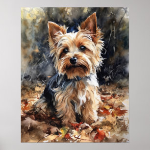 Biewer Terrier Dog Art Print Poster