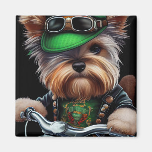 Biewer Terrier Dog Driving Bike St. Patrick's Day Magnet