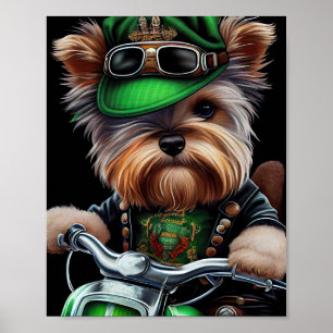 Biewer Terrier Dog Driving Bike St. Patrick's Day Poster