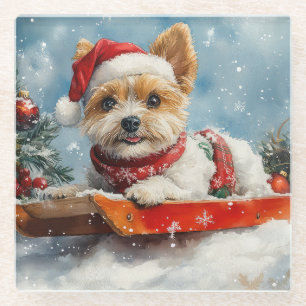 Biewer Terrier Dog in Sledge Let it Snow Christmas Glass Coaster