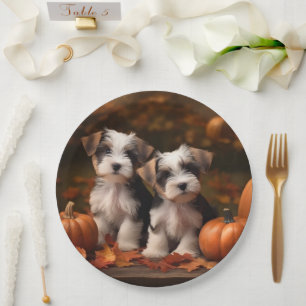 Biewer Terrier Puppy Autumn Delight Pumpkin Paper Plate