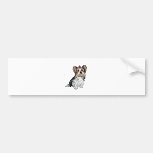 Biewer Yorkshire Terrier Bumper Sticker (Front)