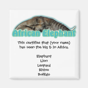 Big 5 Africa wildlife safari magnets