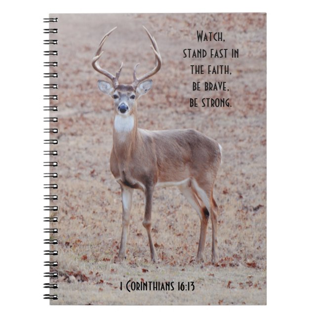Big and Beautiful Wild Buck Deer Prayer Journal (Front)