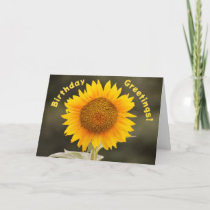 Big and Bright Cute Sunflower Birthday Card