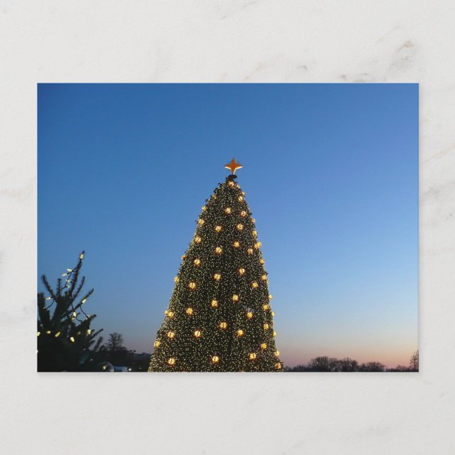 Big and Little Christmas Trees I Holiday Sunset Postcard (Front)