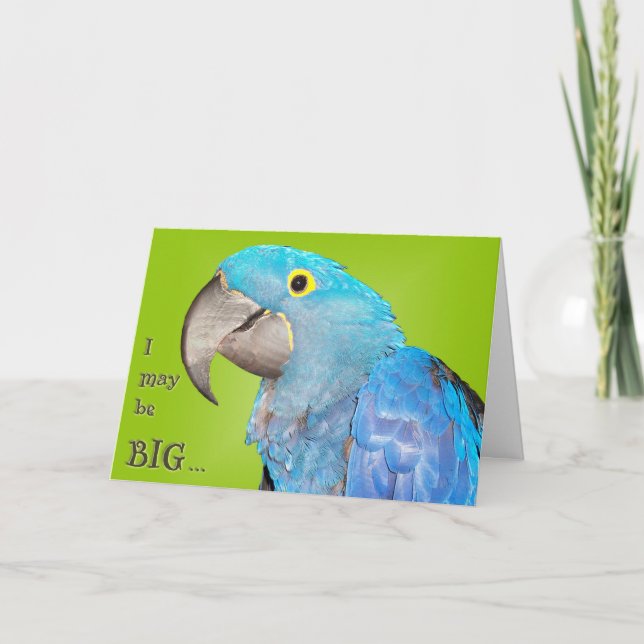 Big and Loveable Card (Front)