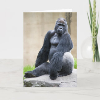 Big Ape card