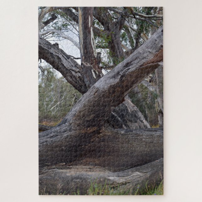 Big Australian Gum Tree Logs, Jigsaw Puzzle (Vertical)