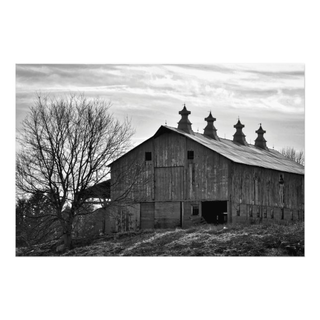 Big Barn Custom  Photo Print (Front)