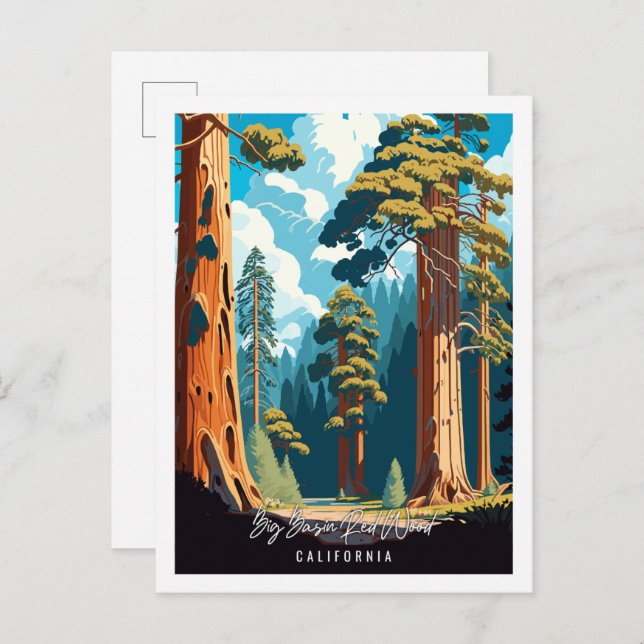Big Basin Red Wood vintage travel illustration Postcard (Front/Back)
