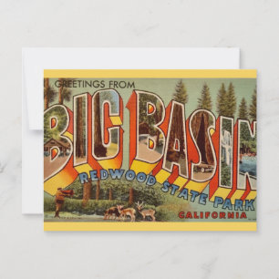 Big Basin Redwood Park Postcard