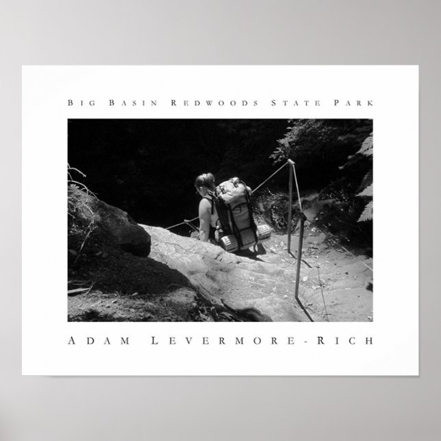 Big Basin Redwoods State Park Poster (Front)