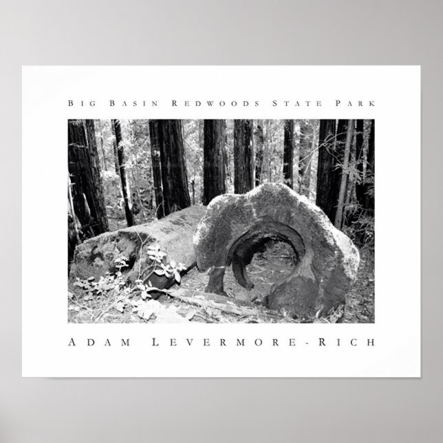 Big Basin Redwoods State Park Poster (Front)