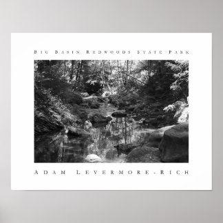 Big Basin Redwoods State Park Poster