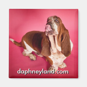 Big Basset Kiss Magnet