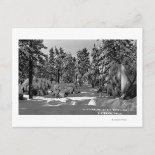 Big Bear Lake, CA in the Winter Snow View Postcard