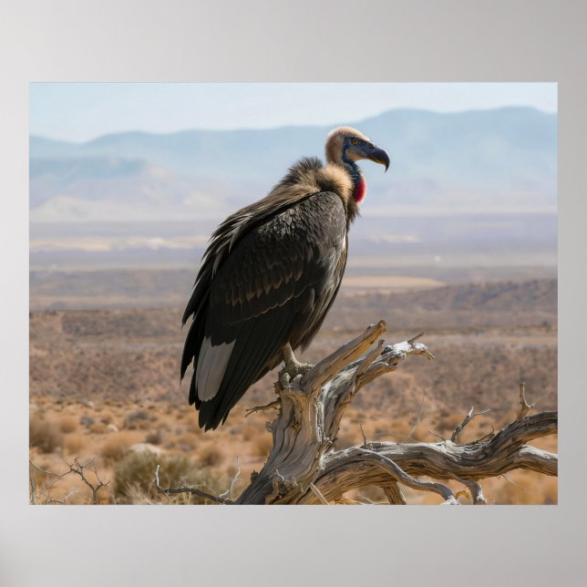 Big Beautiful Bird Poster (Front)