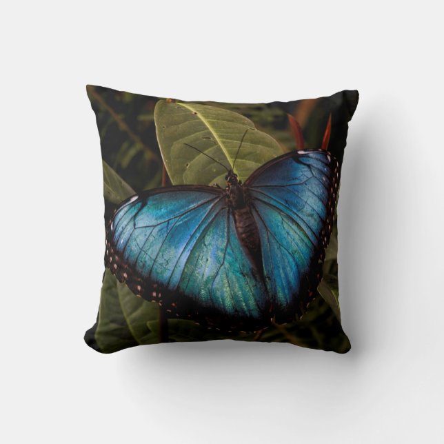 Big, beautiful, blue butterfly cushion (Front)