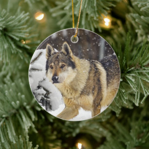 Big Beautiful Grey Wild Wolf in snow Ceramic Ornament