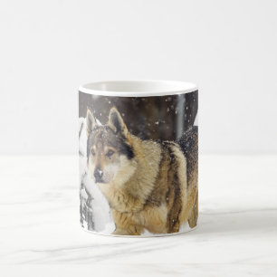 Big Beautiful Grey Wild Wolf in snow Coffee Mug