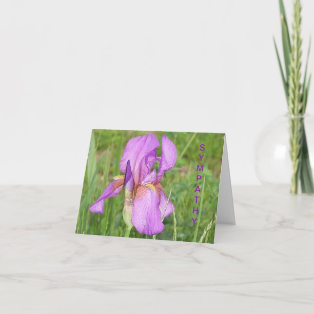 Big Beautiful Iris, Sympathy Card (Front)