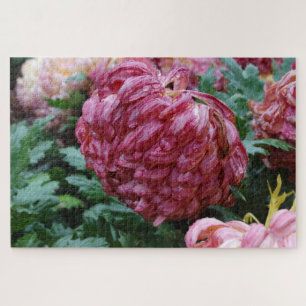 Big Beautiful Mums on a Rainy Day! on a Jigsaw Puzzle