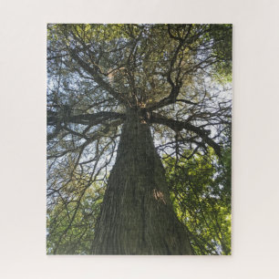 Big Beautiful Tree Jigsaw Puzzle
