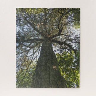 Big Beautiful Tree Jigsaw Puzzle