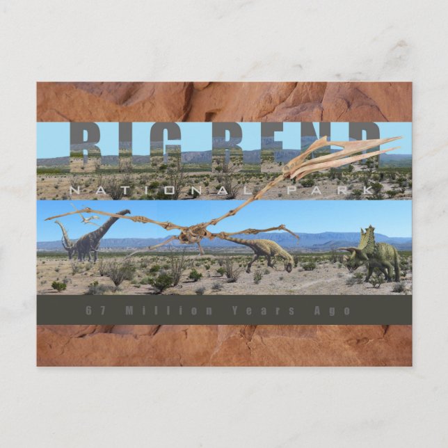 BIG BEND NAT’L PARK-Texas-Fossil Discovery Exhibit Postcard (Front)