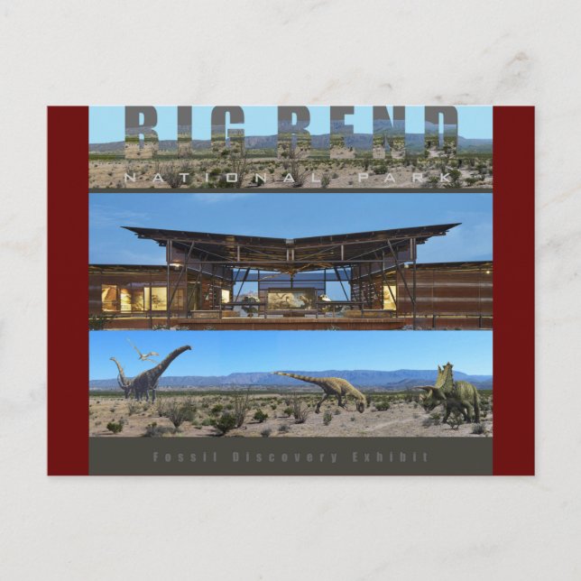 BIG BEND NAT’L PARK-Texas-Fossil Exhibit- Postcard (Front)