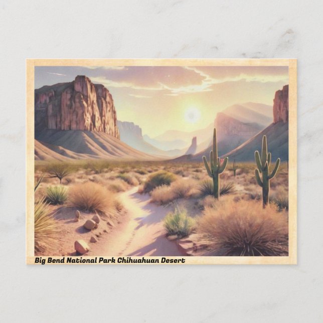Big Bend National Park Chihuahuan Desert Vintage Postcard (Front)