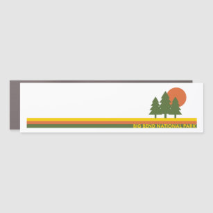 Big Bend National Park Pine Trees Sun Car Magnet