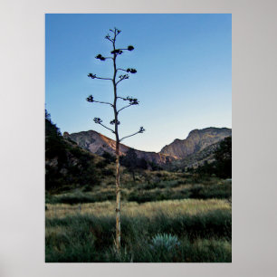 Big Bend National Park, Texas Poster