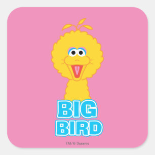 Big Bird Classic Style Square Sticker