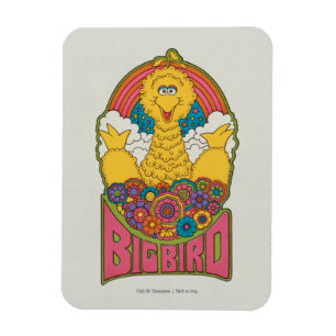 Big Bird   Psychedelic Magnet
