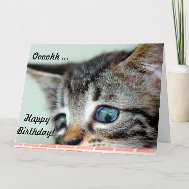 Big Birthday Card Cute Kitten says happy Birthday (Front)