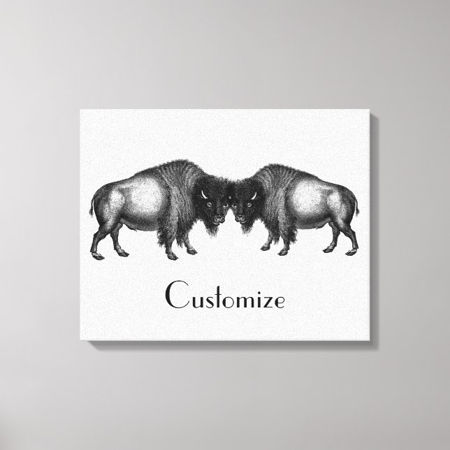 Big Bison Buffalo Thunder_Cove Canvas Print (Front)