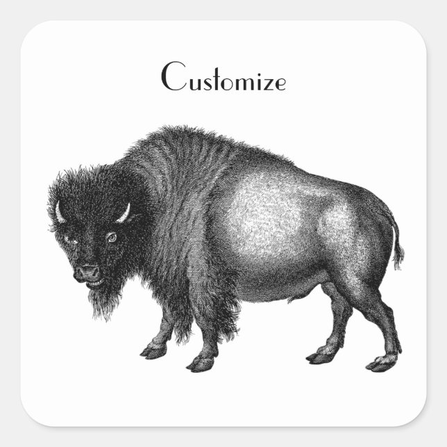 Big Bison Buffalo Thunder_Cove   Square Sticker (Front)