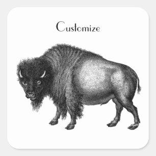 Big Bison Buffalo Thunder_Cove   Square Sticker