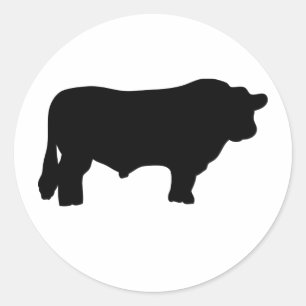 big black angus bull classic round sticker