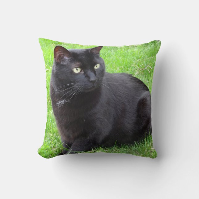 Big Black Cat Pillow (Front)
