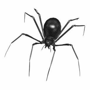 Big Black Creepy 3D Spider Photo Sculpture Decoration
